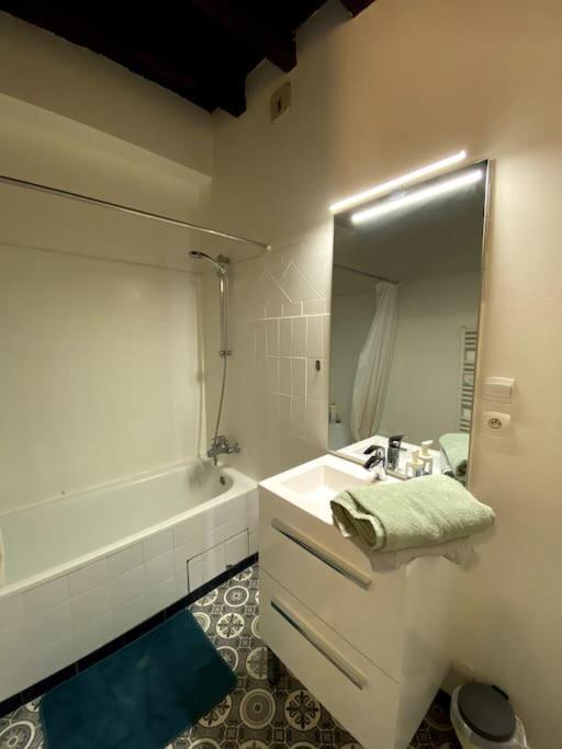 L'Escapade Blesoise - Hyper Centre Apartment Блоа Екстериор снимка