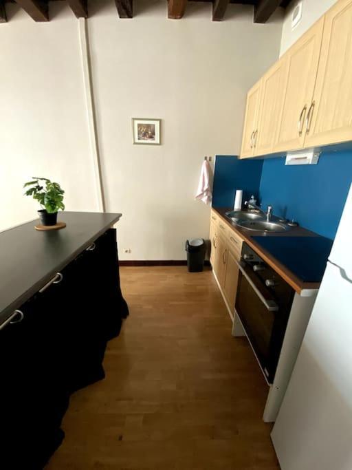 L'Escapade Blesoise - Hyper Centre Apartment Блоа Екстериор снимка